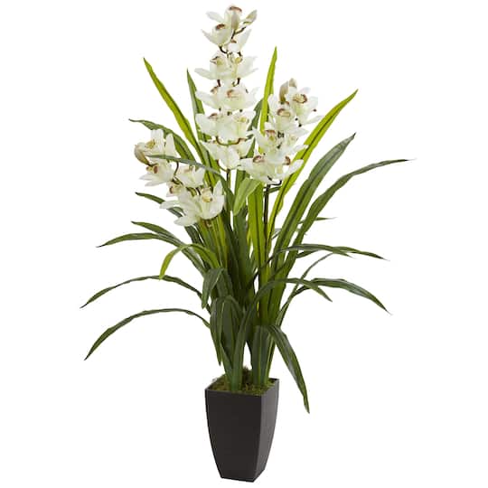 3.5ft. White Cymbidium Orchid in Planter